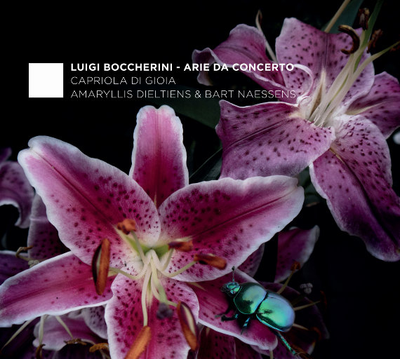 国产精品自产拍在线观看分享
